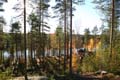 FinnFoto_246754